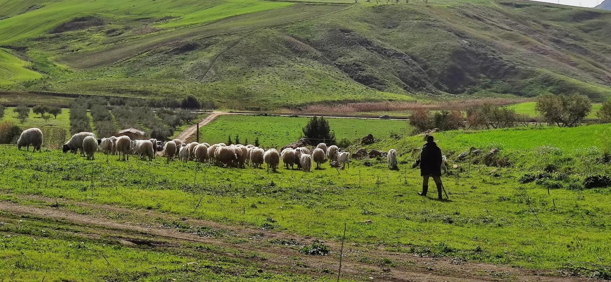 B&B Della Via Francigena Agrigento Luaran gambar