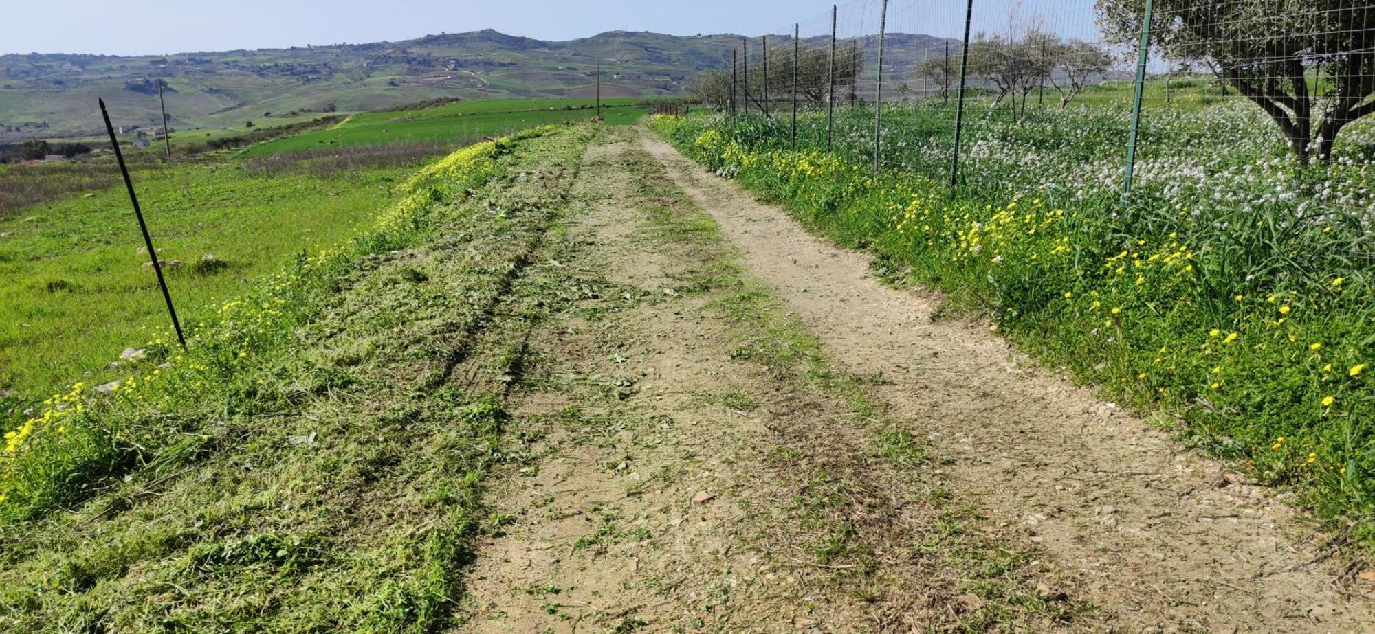 B&B Della Via Francigena Agrigento Luaran gambar